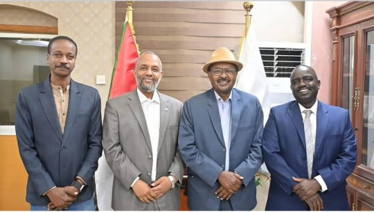 Federal Minister of Health meets President of the International Diabetes Federation for the MENA Region and President of the Sudanese Diabetes Union